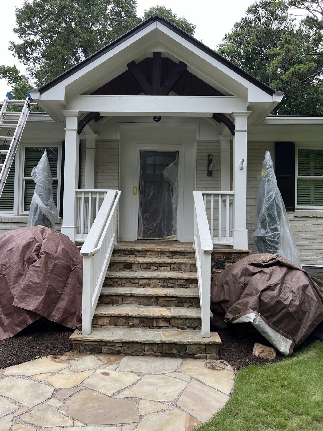 Plants protected before a house wash